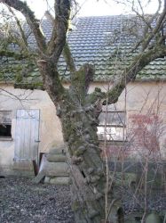 Brennfestle 2008  26
